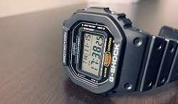 Casio G-Shock DW5600E-1V