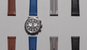 Shinola The Willard Program